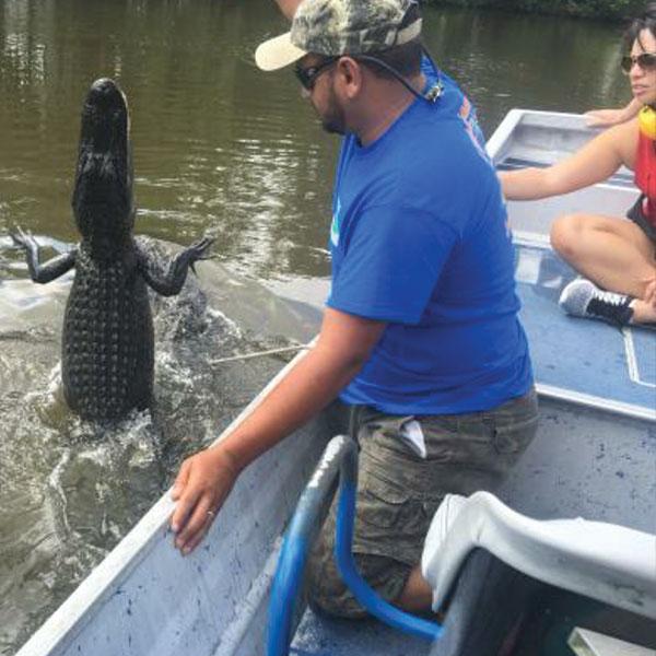 Airboat swamp tours